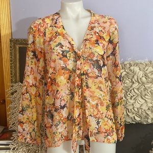 Zara semi sheer blouse size small